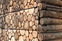 Architecture & Design: house of logs