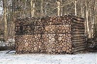 Architecture & Design: house of logs