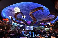 TopRq.com search results: Disneyland Park