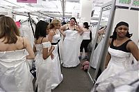 TopRq.com search results: Running of the Brides