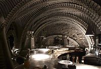 TopRq.com search results: the skeleton bar