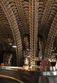 TopRq.com search results: the skeleton bar