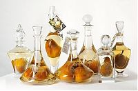 TopRq.com search results: how to bottle a pear