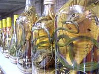 TopRq.com search results: Exotic vodka from Vietnam