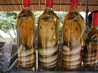 Architecture & Design: Exotic vodka from Vietnam