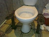 TopRq.com search results: funny toilet