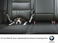 Architecture & Design: best ads with dogs