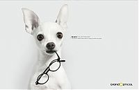 Architecture & Design: best ads with dogs