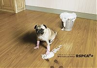 Architecture & Design: best ads with dogs