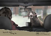 Architecture & Design: best ads with dogs