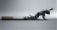 Architecture & Design: creative anti-smoking ad