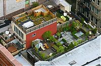 Architecture & Design: rooftops architecture