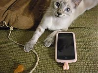 Architecture & Design: Phoneballs protection for iPhone