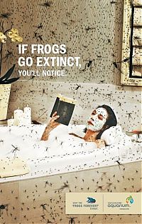 Architecture & Design: shock advertising