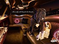 TopRq.com search results: Cannes Lions International Advertising Festival