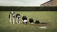 TopRq.com search results: Cannes Lions International Advertising Festival