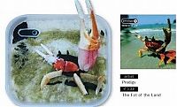 TopRq.com search results: bento lunches decorated as album covers