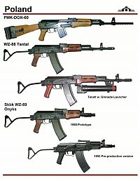 Architecture & Design: army guns in different countries