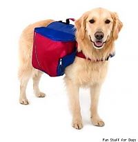 TopRq.com search results: unusual backpack