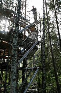 Architecture & Design: Treehotel, Harads, Sweden