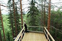 TopRq.com search results: Treehotel, Harads, Sweden