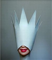 Architecture & Design: lady gaga doll