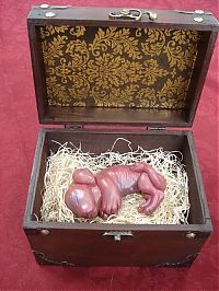 TopRq.com search results: chimera fetus box