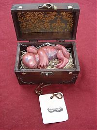 Architecture & Design: chimera fetus box