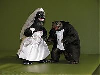 Architecture & Design: wedding cake topper