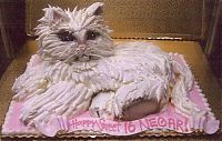 Architecture & Design: cat cake