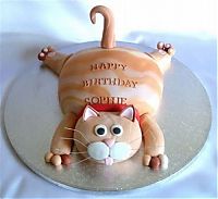 Architecture & Design: cat cake