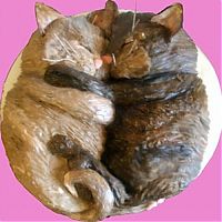 Architecture & Design: cat cake