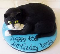 Architecture & Design: cat cake