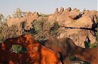 Architecture & Design: House in Joshua Tree National Park, California, United States