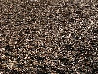 Architecture & Design: Penny Harvest by Common Cents