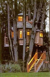 Architecture & Design: treehouse