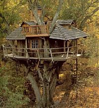 Architecture & Design: treehouse