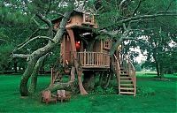 TopRq.com search results: treehouse