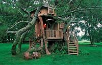 Architecture & Design: treehouse