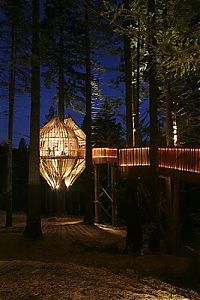 Architecture & Design: treehouse