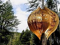 Architecture & Design: treehouse