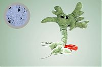 Architecture & Design: giant plush microbes