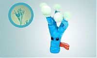 TopRq.com search results: giant plush microbes
