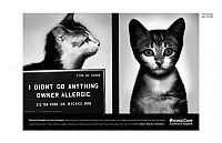 TopRq.com search results: PETA animal protection campaign