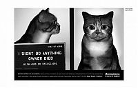 Architecture & Design: PETA animal protection campaign