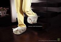 Architecture & Design: PETA animal protection campaign