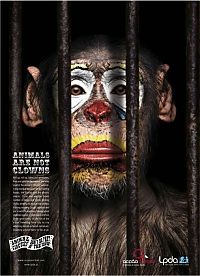 Architecture & Design: PETA animal protection campaign