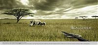 Architecture & Design: PETA animal protection campaign