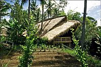 Architecture & Design: Green school, Bali