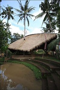 Architecture & Design: Green school, Bali